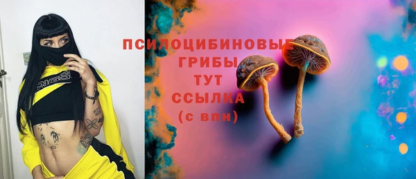 ешки Переславль-Залесский