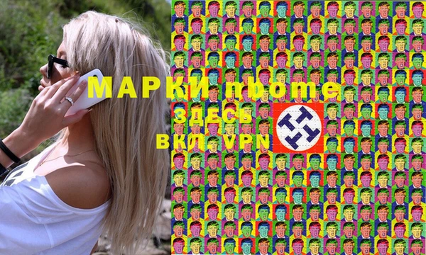 шишки Гусев