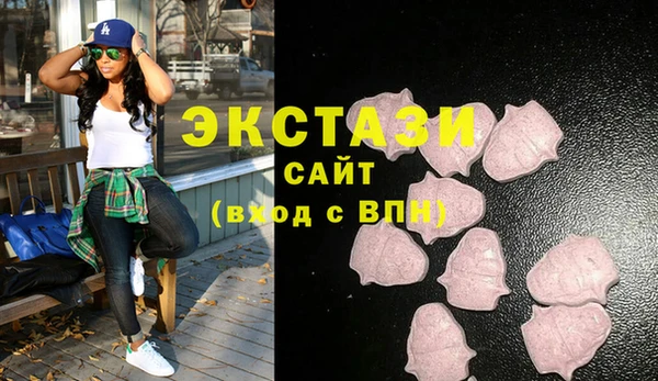 гашик Снежногорск