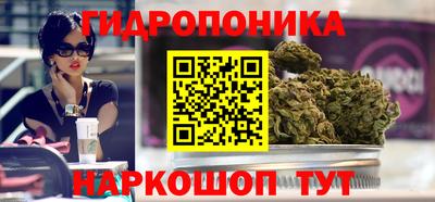 шишки Волжский