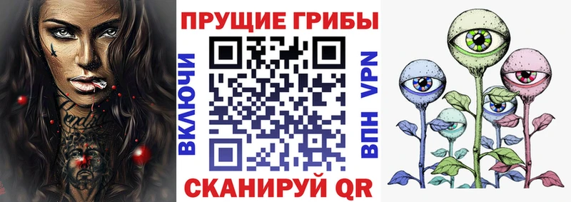 Галлюциногенные грибы Cubensis omg как зайти Кашира