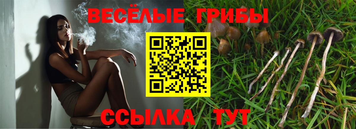 Кашира  Псилоцибиновые грибы прущие грибы  Вход с VPN 
